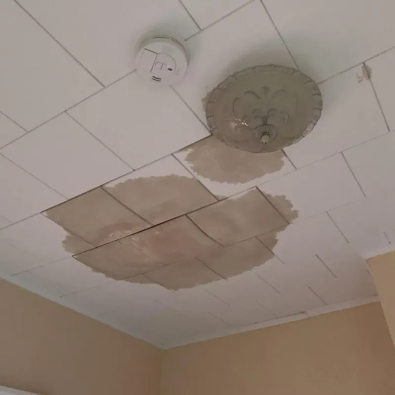 Ceiling Water Damage Repair in Brunswick County, NC