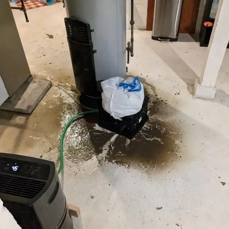 Sewage Backup Cleanup Service in Brunswick County, NC